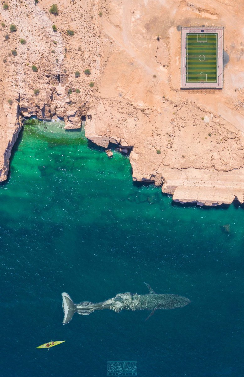 QA_aall's tweet photo. وين هالصوره؟ 🤔🤩 https://t.co/GISctYkFpJ