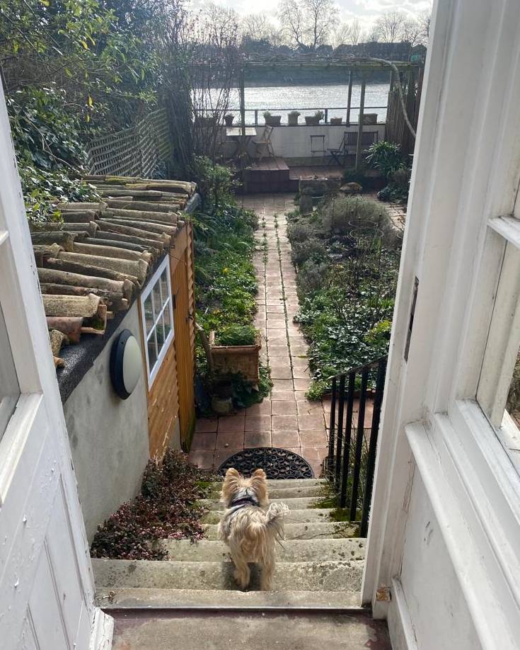 Our newest #Garden #volunteer inspecting the aftermath of #StormEunice 🌬

If you'd like to learn more about #volunteering with us you'll find us at the West London Volunteer Fair on March 9.

#HammersmithTerrace #Gardens #Thames #BecomeAVolunteer #LearnSomethingNew #JoinUs