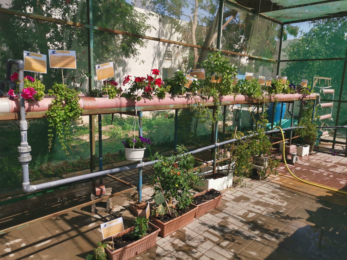 alm_greenhouse2's tweet photo. الاستعداد التحكيم.. برنامج الأمن الغذائي 2022م
@QuranicGarden https://t.co/CyF5IXi06b