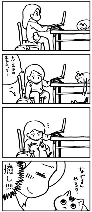 🐈 