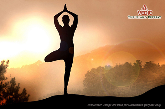 vedic_the's tweet photo. #VEDICISLANDRETREAT #VEDIC #retreat #island #ganges #haridwar 
#Wellness #yoga

For more information please call: 0120 3511940 / +91 8860 961 961

Email: info@vedicislandretreat.com
Website: https://t.co/ZO6xuxNoIX https://t.co/phRkhryIH3