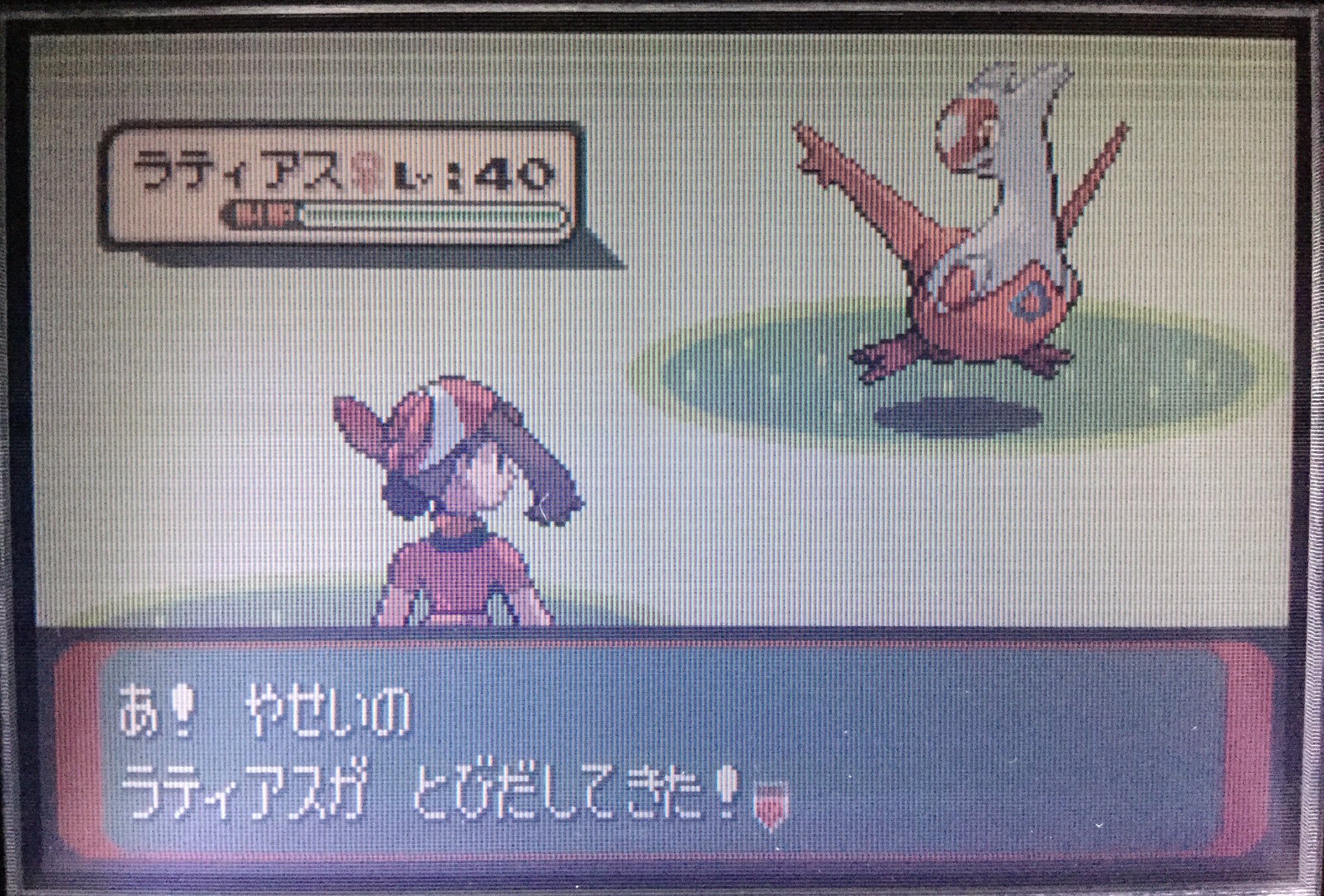 きのい ポケモンサファイア こちらのサイトの手順通りに Lv 40を先頭にスプレーかけながら所定の区域を駆け回ったらちゃんと ラティアスに会えたので感謝感謝 捕まえる手間をかけたくないのでマスターボールで捕獲 参考サイト T Co 8djgh9ewtc