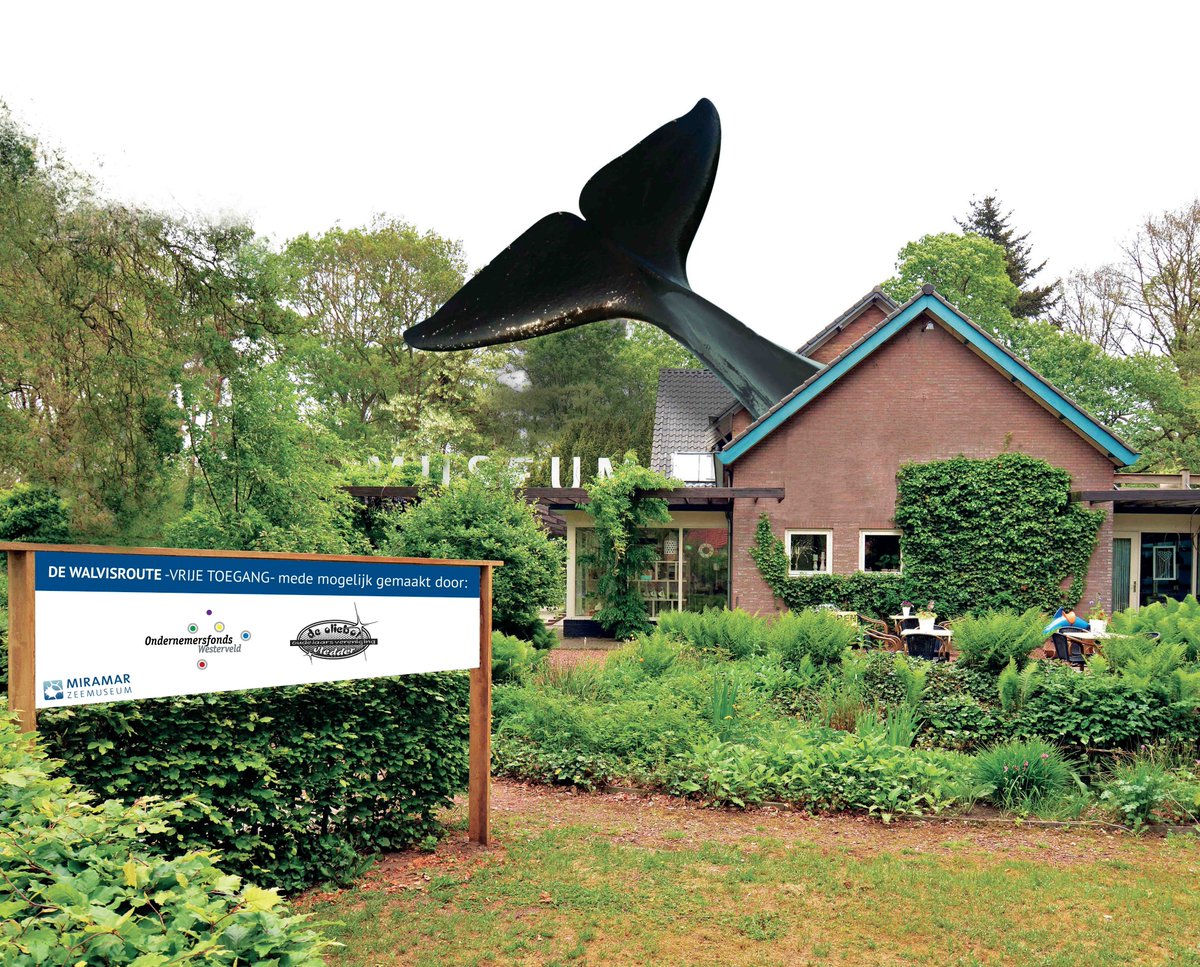 Vanaf morgen zijn we weer geopend!🐳
Kom tijdens de voorjaarsvakantie gezellig een dagje langs in ons museum. 
Zo kun je een zeemonstertje komen knutselen. En de nieuwe tuinroute met vragen en weetjes over de walvis is ook erg leerzaam voor jong en oud.