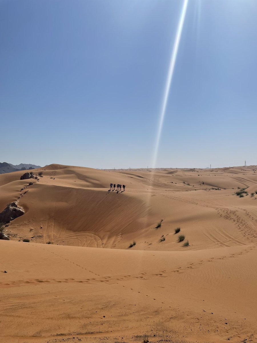 JESSIntlAward's tweet photo. βOnlyβ 15km today but up and down the sand dunes of Fossil Rock #JESSAdventure #JESSChallenge #JESSGoldIA https://t.co/cRdcPPxqib