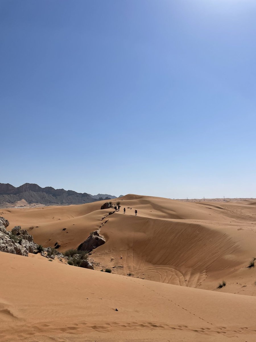 JESSIntlAward's tweet photo. βOnlyβ 15km today but up and down the sand dunes of Fossil Rock #JESSAdventure #JESSChallenge #JESSGoldIA https://t.co/cRdcPPxqib