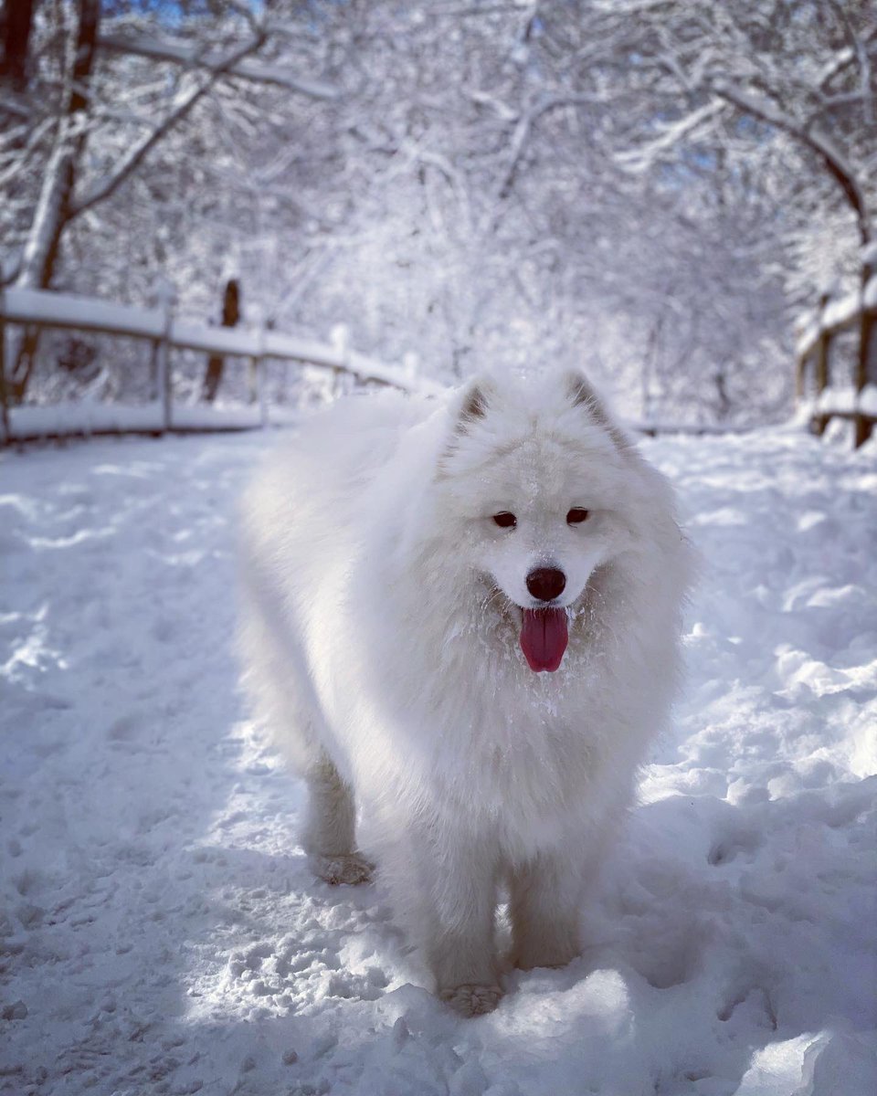 MazapanInCanada's tweet photo. Can you see me? https://t.co/98jnHdwvKy