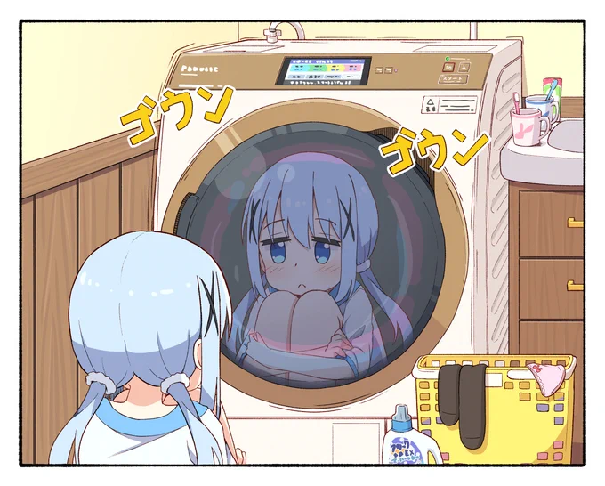 洗濯を見守るチノ 