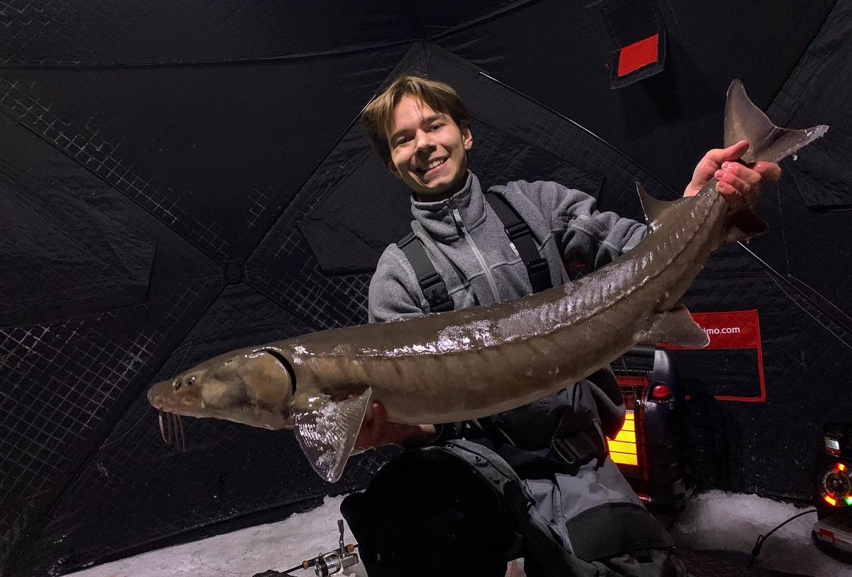 MinOutdoors's tweet photo. Some of the Dino’s from this year so far
.
.
.
#sturgeon #icefishing #Minnesota #outdoors #fishing https://t.co/RycqzDOdBX