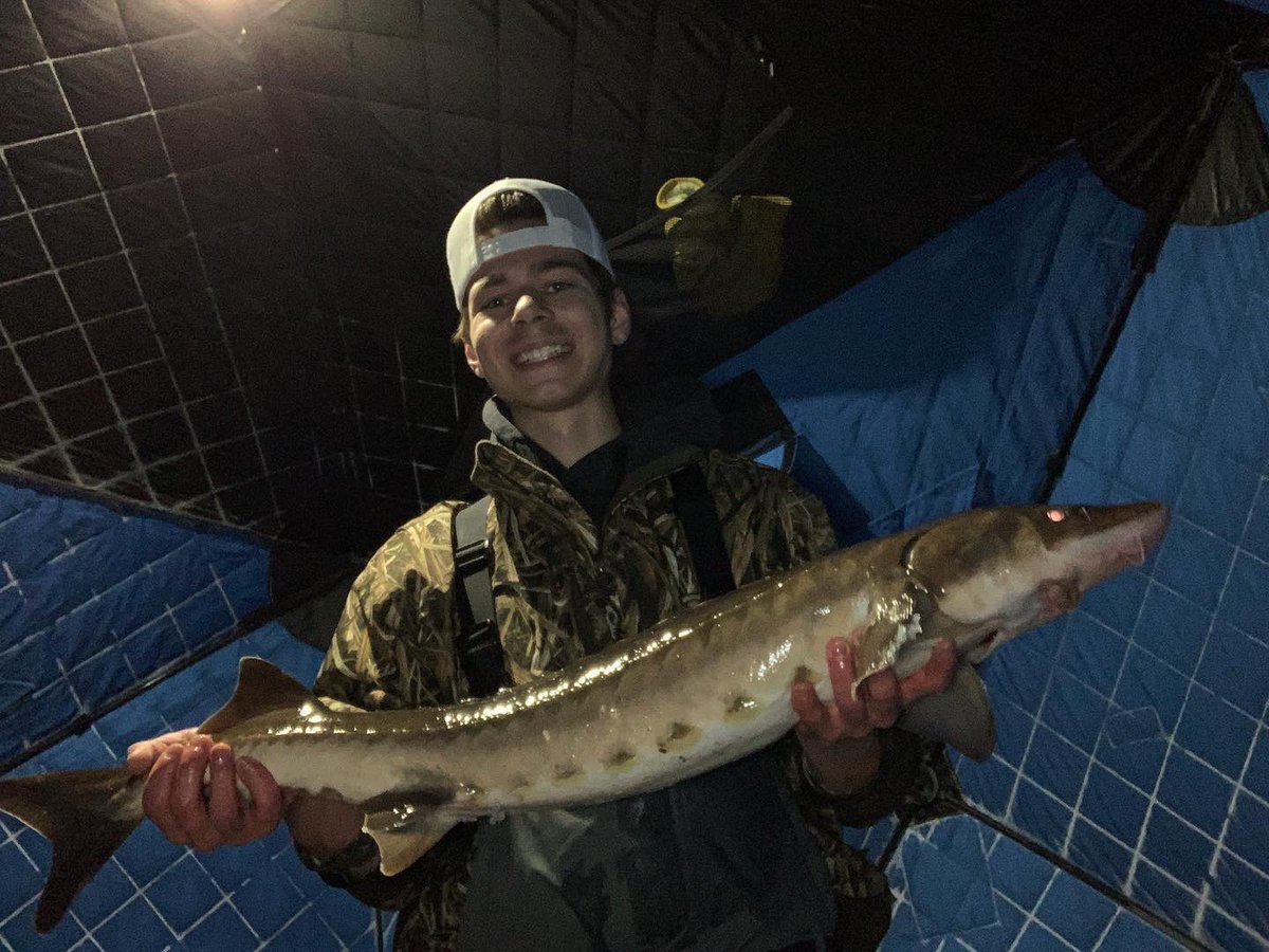 MinOutdoors's tweet photo. Some of the Dino’s from this year so far
.
.
.
#sturgeon #icefishing #Minnesota #outdoors #fishing https://t.co/RycqzDOdBX
