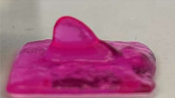 AdvPortfolio's tweet photo. A single-component jammed micro-flake hydrogel is developed as a cell laden ink for 4D bioprinting

The 🦈fin was printed as is part of experiments that show easy 3D-3D shape morphing @tissue_engineer @BIOENGatIL 

Read the article: https://t.co/AIEII2RQuK https://t.co/vkjuLCwYQa
