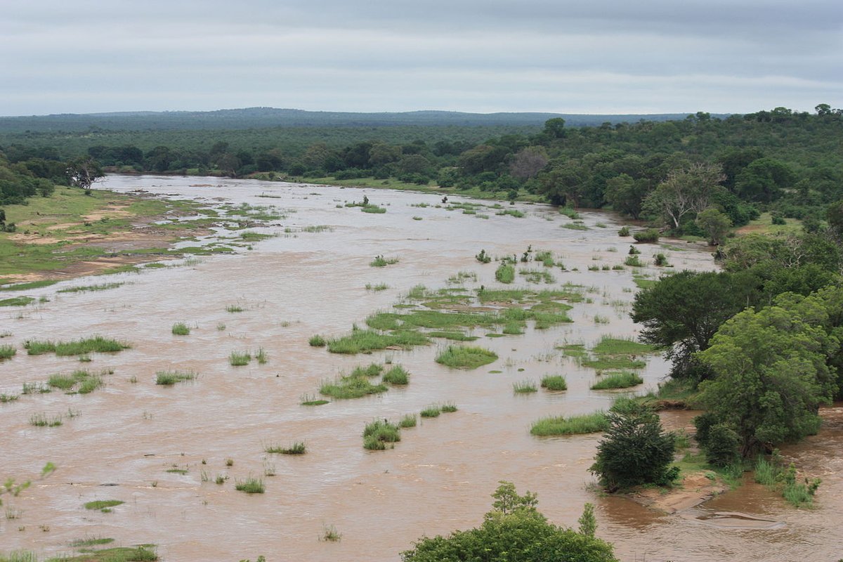 SabzerAzoh's tweet photo. Frame 1: iSangqu (Orange River)

Frame 2: iGwa (Vaal River)

Frame 3: uBhalule (Olifants River)

Frame 4: iNgulukudela (Limpopo River)

NgokwesiNguni ibizwa kanje lemifula. https://t.co/mGfxcmHuTM