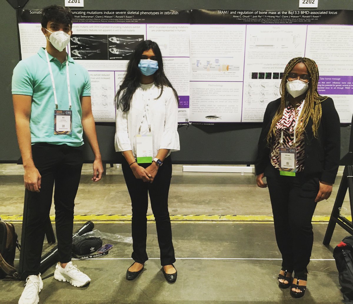 Excellent poster presentations by undergraduate students from UW! Looking forward to bringing more undergrads to ORS next year <a href="/ronkwonbone/">Ron Kwon</a> <a href="/ORSsociety/">Orthopaedic Research Society</a> #ORS2022
