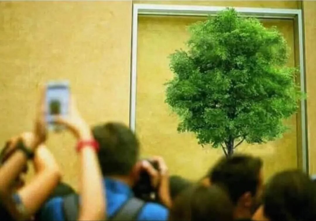 Imagine being born in 2150 and you going to Museum to see a tree🌲🌲. The question is who survive?
A #Question to answer in less than a year
<a href="/UNEP/">UN Environment Programme</a> <a href="/GWPnews/">Global Water Partnership</a> <a href="/capnet_undp/">Cap Net UNDP</a> <a href="/UNESCO/">UNESCO 🏛️ #Education #Sciences #Culture 🇺🇳</a>