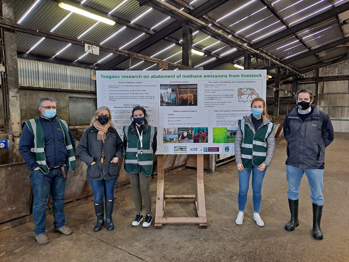 Paul Smith (@paulsmid94) on Twitter photo Was a pleasure to have the <a href="/IFAmedia/">Irish Farmers' Association</a> to <a href="/TeagascBeef/">Teagasc Beef</a> today to talk about our own going research on methane mitigation breeding and supplementation strategies in <a href="/teagasc/">Teagasc</a>
<a href="/SineadMWaters/">Sinéad Waters</a> <a href="/DaithiK2000/">David Kenny</a> <a href="/KirwanStuart/">Stuart Kirwan</a> <a href="/RoskamEmily/">Emily Roskam</a> Was a pleasure to have the <a href="/IFAmedia/">Irish Farmers' Association</a> to <a href="/TeagascBeef/">Teagasc Beef</a> today to talk about our own going research on methane mitigation breeding and supplementation strategies in <a href="/teagasc/">Teagasc</a>
<a href="/SineadMWaters/">Sinéad Waters</a> <a href="/DaithiK2000/">David Kenny</a> <a href="/KirwanStuart/">Stuart Kirwan</a> <a href="/RoskamEmily/">Emily Roskam</a>
