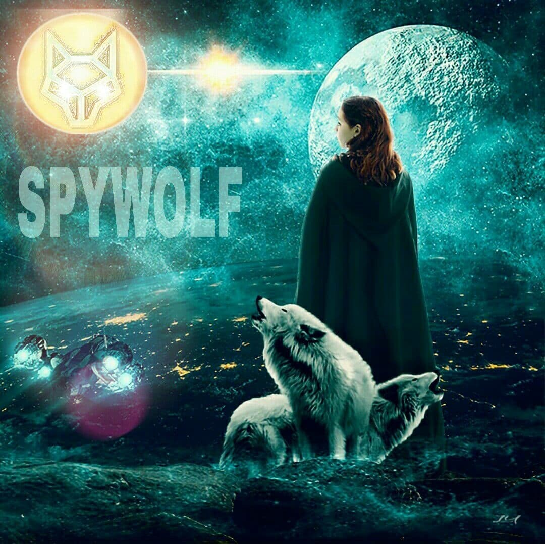 work___account's tweet photo. @spy_wolf2020 @SpyWolfNetwork A pair of socks ... Do you remember? From the movie Dancer with Wolves, it comes to help us feel calm and safe.
@SpyWolfNetwork 
#spywolf #bitcoin #ethereum #Doge #binance  #bscgem https://t.co/HJ86B7Yx0d