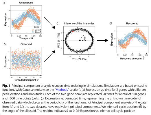 BioDecoded's tweet photo. Universal prediction of cell-cycle position using transfer learning | Genome Biology
https://t.co/HwVvIQnEeF

#Bioinformatics https://t.co/WjmE5PADHM