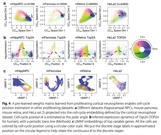 BioDecoded's tweet photo. Universal prediction of cell-cycle position using transfer learning | Genome Biology
https://t.co/HwVvIQnEeF

#Bioinformatics https://t.co/WjmE5PADHM
