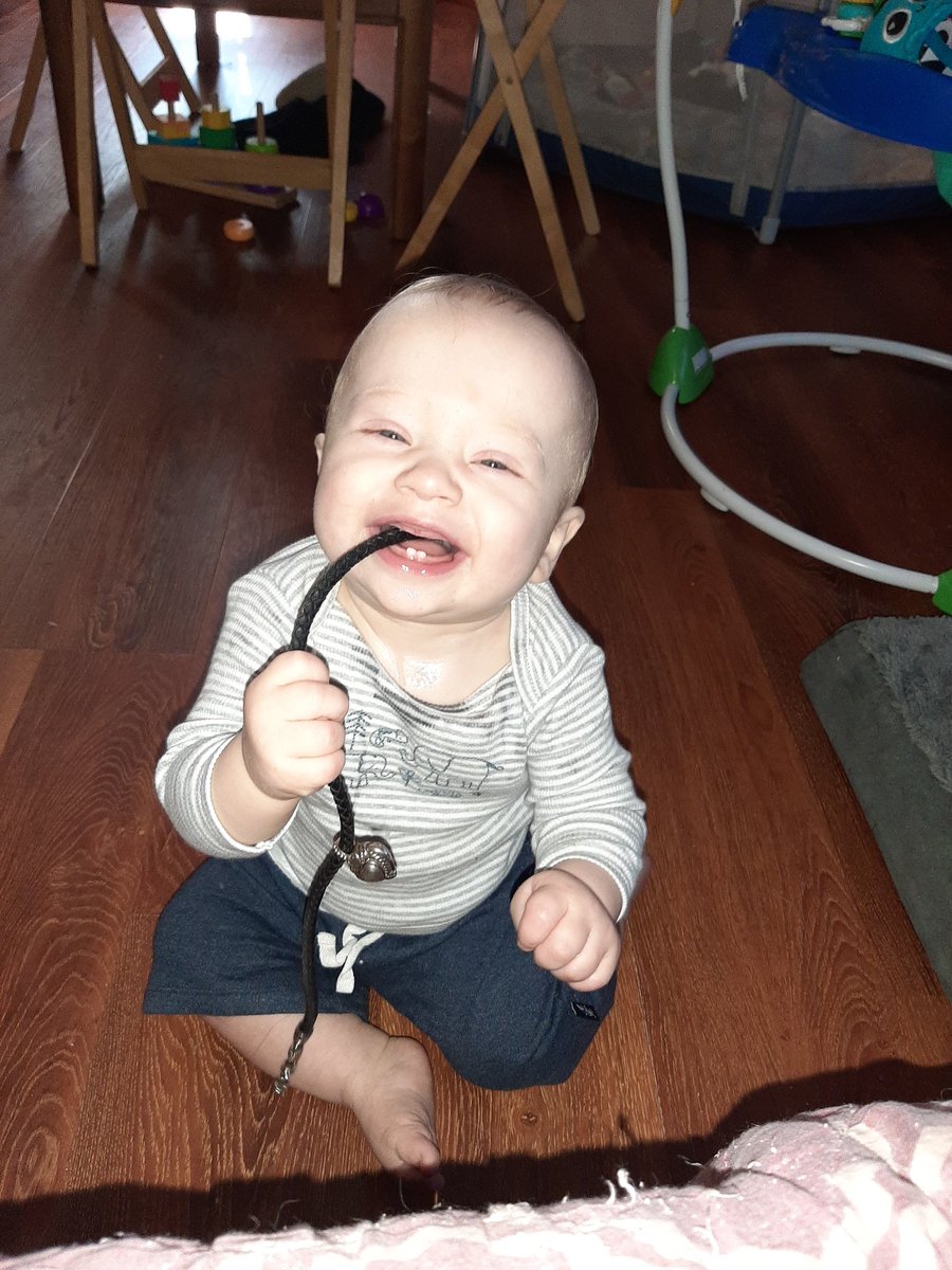 ShadeGhost3's tweet photo. Taters has been thriving https://t.co/BSVBaLQVyL