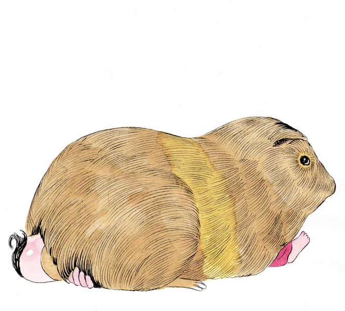 癒しの里 