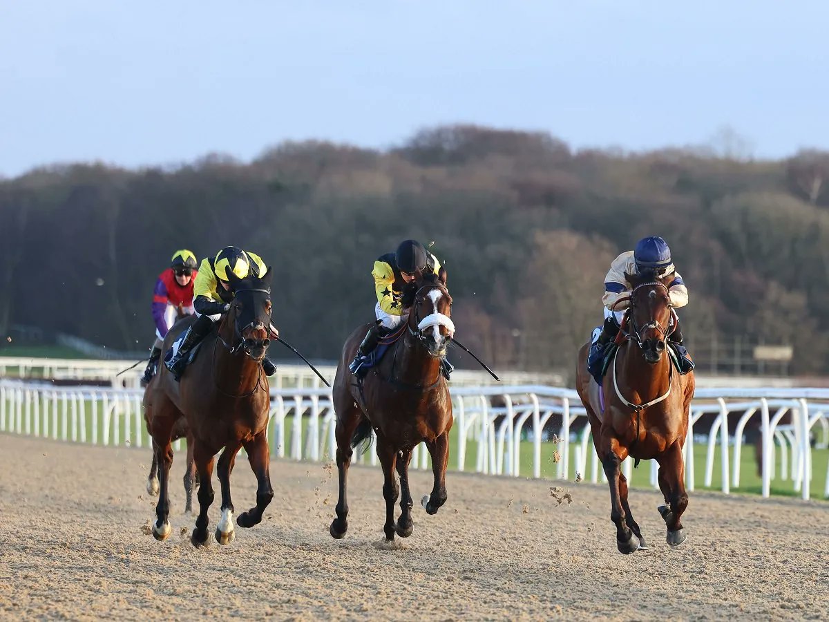 HambletonRacing's tweet photo. Tempus has received his next entry today and we look forward to seeing him in action again this weekend at @SouthwellRacing for the @Archie_Watson Team 🏇 💙 💛 #WeekendRunner #HambletonTeam #FastTrackQualifier https://t.co/cKxv3ZotYH