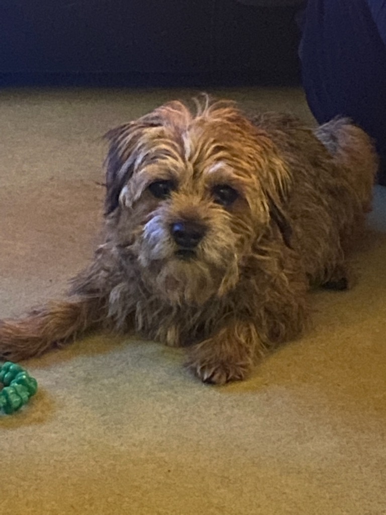 HarrybtGreaves's tweet photo. Eh pals iz me jus sayin ello https://t.co/jKMge11o0r