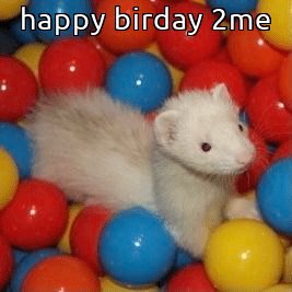 i saved this pic for today so let's pretend its a fennec 
ExtraordINary Day 
#이엔이_미소가_세상을_밝힌날
#MelodicVoiceINDay
#HappyINday