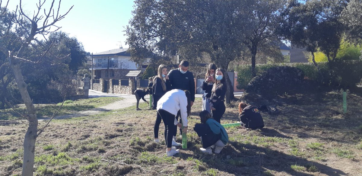IESDiegoV's tweet photo. Esta mañana 30 alumnos de 3°ESO, acompañados por profesores, han participado en la plantación de encinas, dentro de una iniciativa organizada por la ONG @plantaloorg
@ayto_torre
#Bellotada https://t.co/5eQx2HJSuu