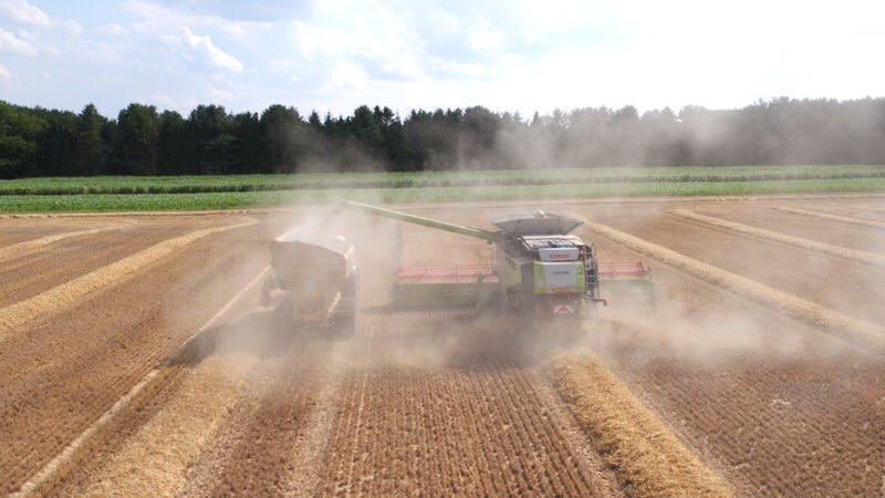jimma_brown's tweet photo. 2022 Harvest Vacancy                                South Pickenham Estate in Norfolk are currently looking harvest staff. Enthusiasm and good sense of humour needed to work within the harvest team. The role will mainly involve grain cart. DM for further details. https://t.co/BYlV9joVU2