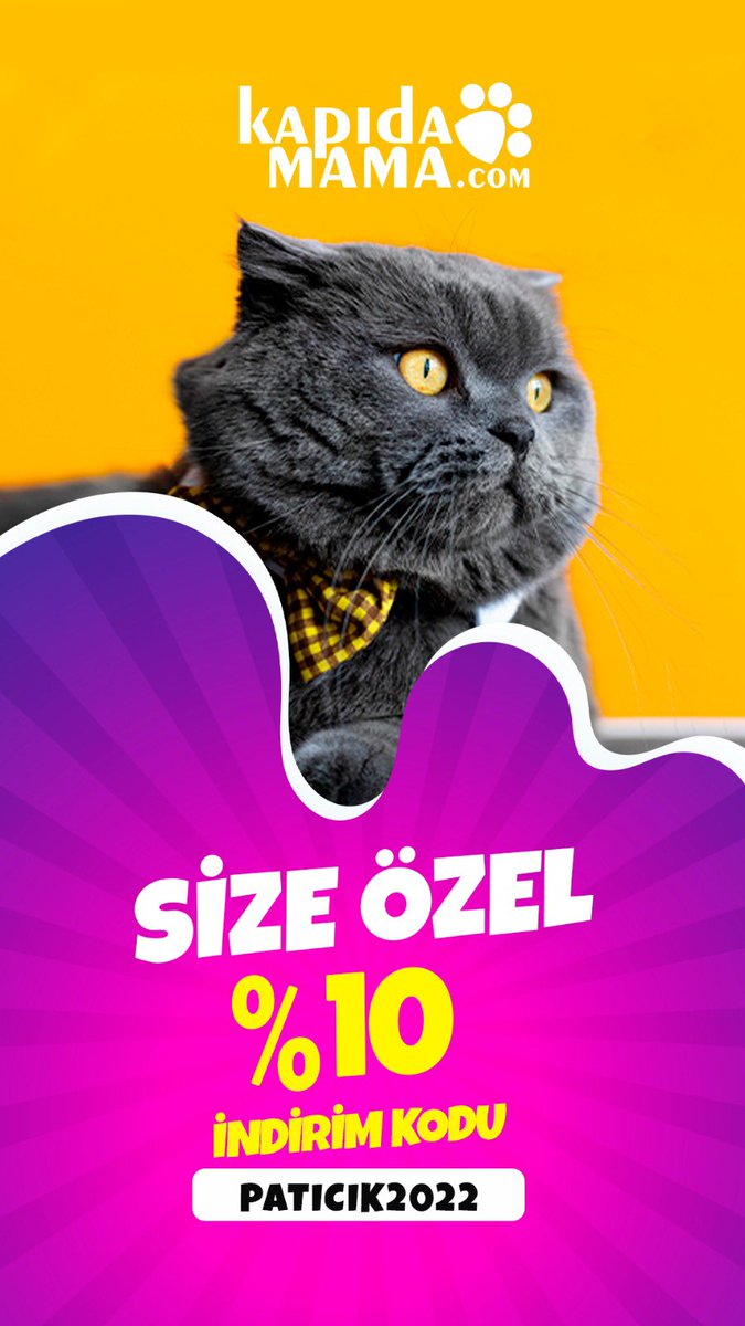Kampanyalarımız İçin kapidamama.com 🙏❤️ #kedi #köpek #kampanya #kedimalzemesi #kopekmalzemesi #petshop #instagramdown #bitcoin  #alışveriş