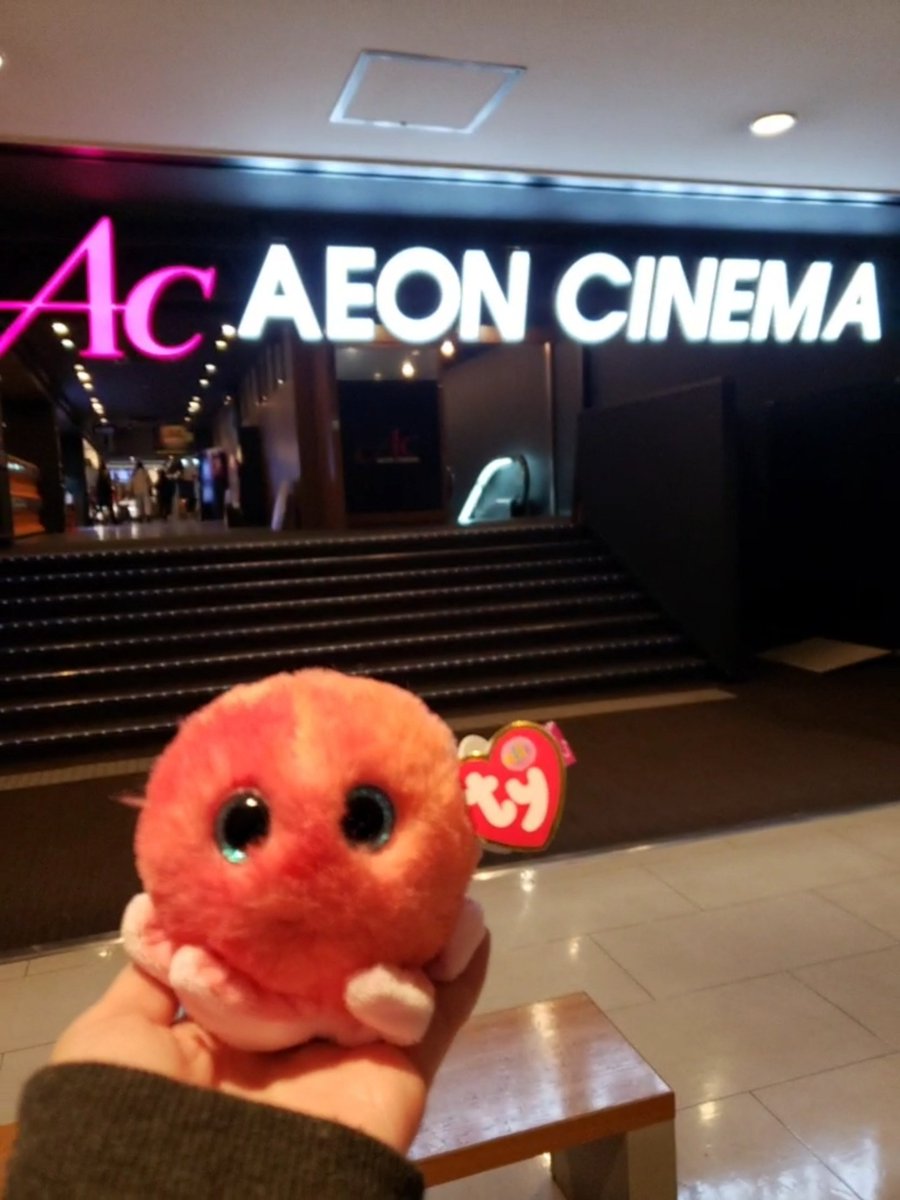 fumikatty_2's tweet photo. 31歳なのに映画館のグッズ売場のグッズじゃない物にまんまと目が止まり「このシリーズ、タコもあるの？」って手に取ってその日はスルーしたけどどうしても忘れられなくて次の日買いに行った。名前を見てなかったから購入前に見て即決。私とシェルドンの出会い。#tyjapan #ty #tyぬいぐるみ #typuffies https://t.co/X5DTX6929C