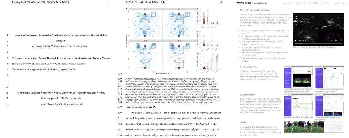 loopbio quantitative biology (@loopbiogmbh) on Twitter photo A wonderful use of many Loopy loopbio.com/loopy/#features features in one paper psyarxiv.com/5x8m2/. It was a pleasure to see this story come together <a href="/DarioStaric/">Dario Staric</a> and @cvoelter 🐕🎥🎉 A wonderful use of many Loopy loopbio.com/loopy/#features features in one paper psyarxiv.com/5x8m2/. It was a pleasure to see this story come together <a href="/DarioStaric/">Dario Staric</a> and @cvoelter 🐕🎥🎉