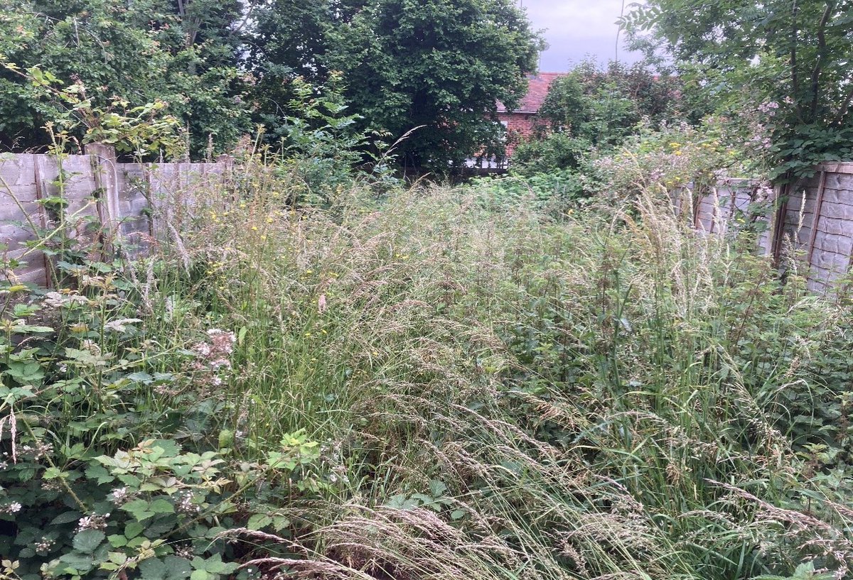 hmpps's tweet photo. A Community Payback team have worked with Redditch Housing Association to remove rubbish and transform the gardens of 40 houses where vulnerable tenants live. 

Residents were delighted with the work done to improve their homes. 

See the before and after photos ⬇️ https://t.co/8t7GTBk5jY