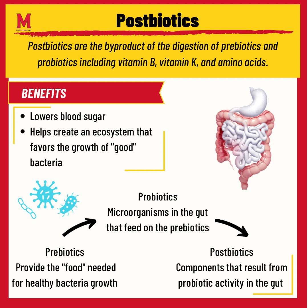 Looking to learn more about Pre-, Pro-, and Postbiotics?

⬇️Here’s some more information