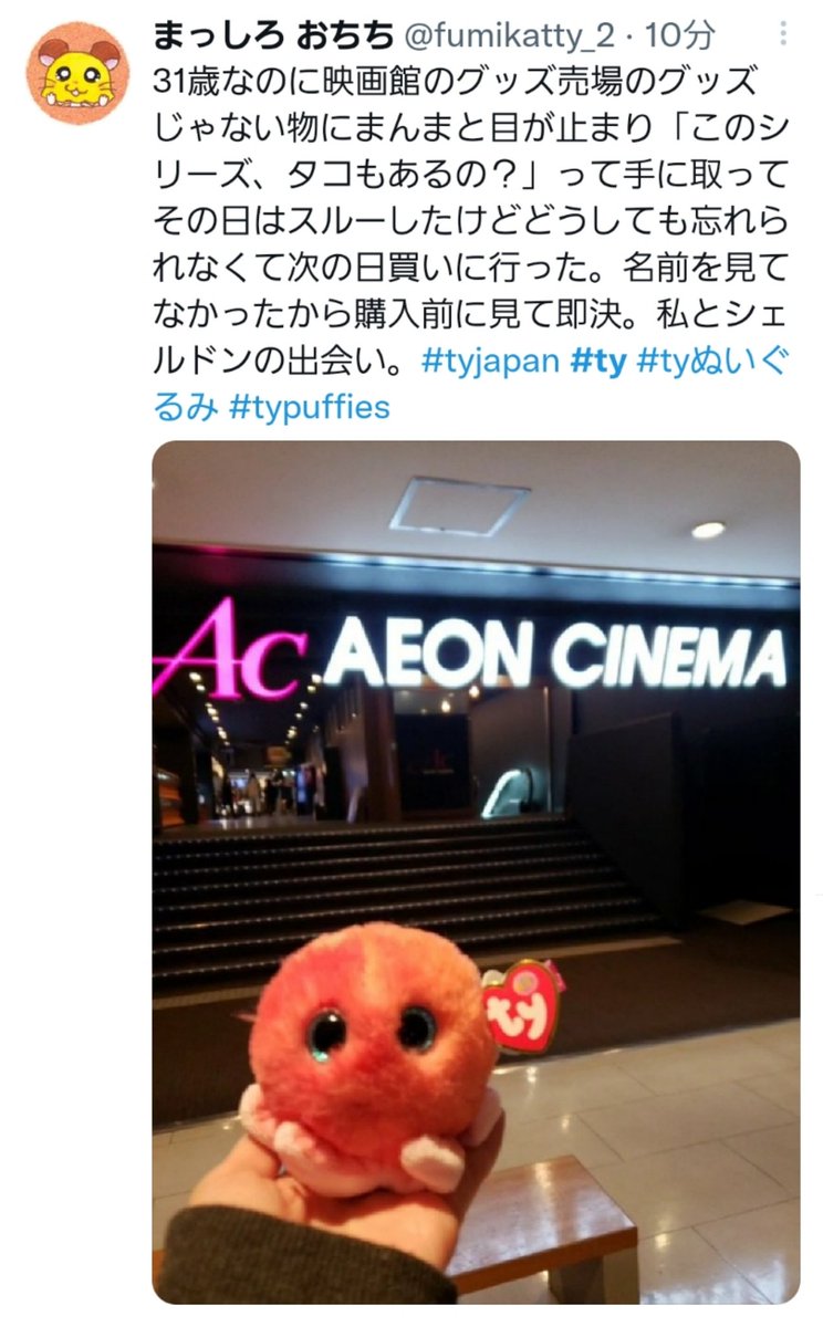 fumikatty_2's tweet photo. #tyjapan #ty #tyぬいぐるみ #beanieboos #typuffies https://t.co/6axnjfCohb
