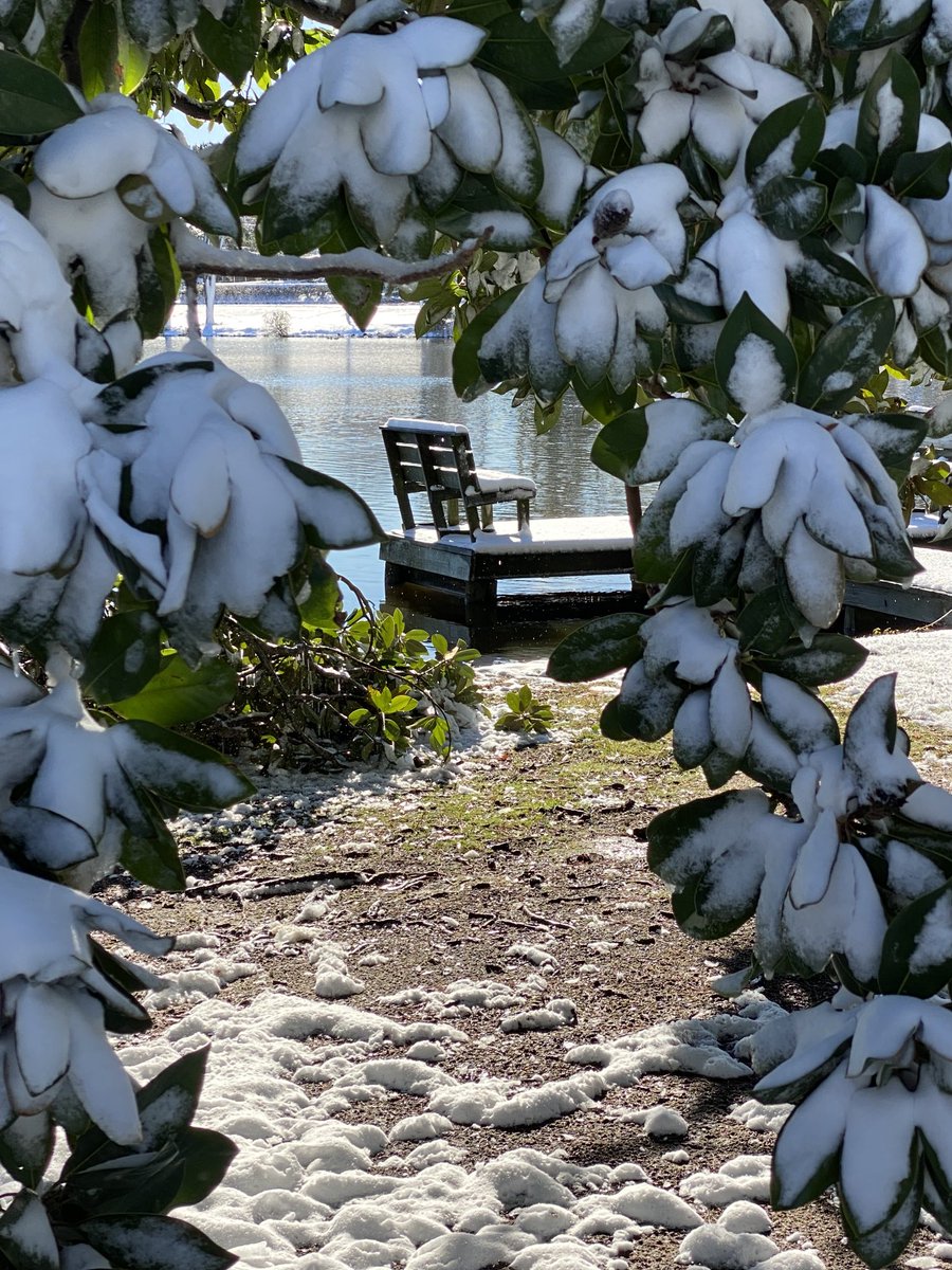A glimpse of serenity .. #findyourpark ⁦<a href="/NatParkTrust/">National Park Trust</a>⁩ ⁦ ⁦<a href="/VisitSouthDel/">Southern Delaware Tourism</a>⁩ 
<a href="/Delaware_now/">Delaware Now</a>
<a href="/capegazette/">Cape Gazette</a>
⁦<a href="/delawareonline/">Delaware Online</a>⁩