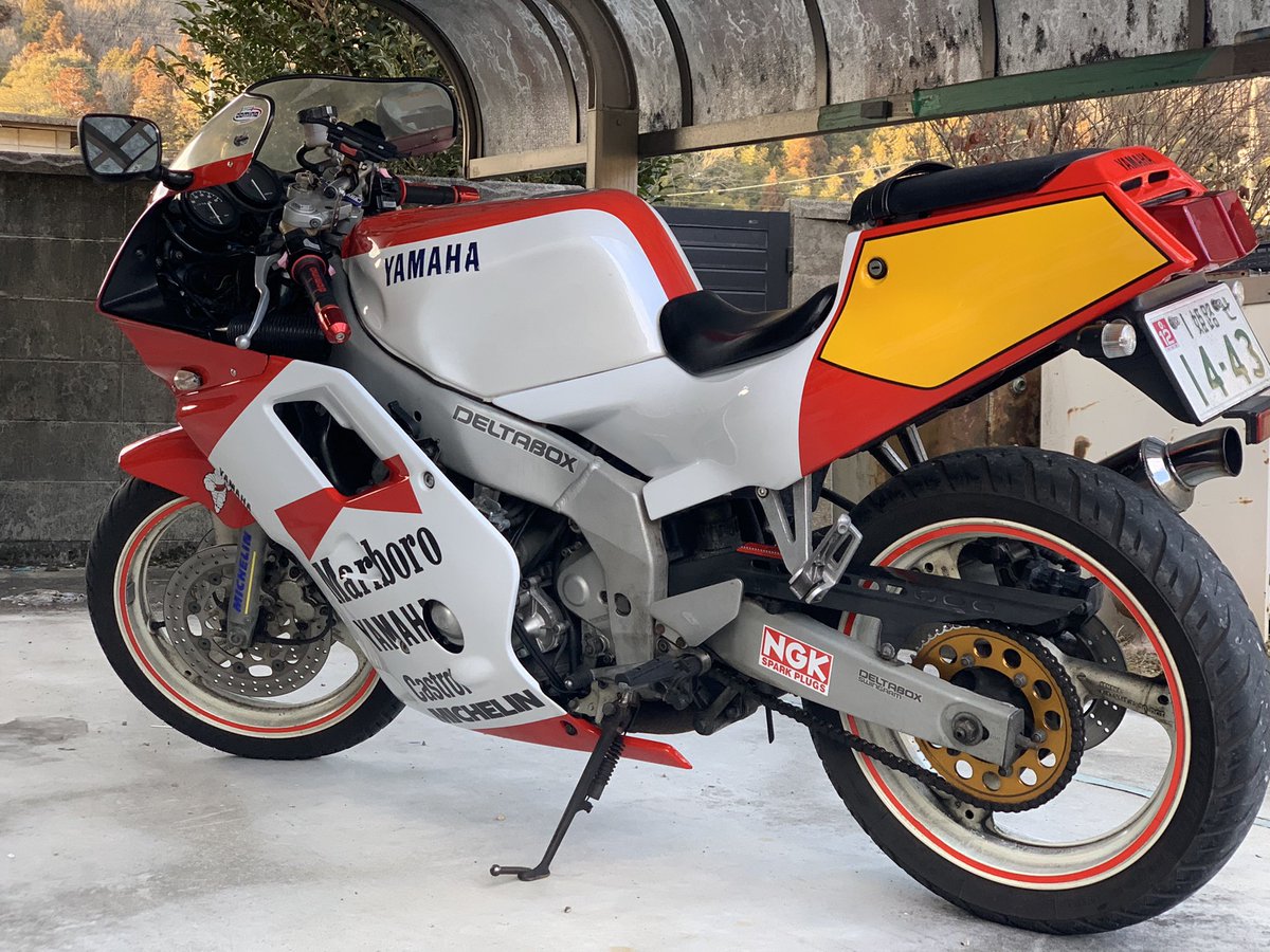 佐伯しょうご (@saekishogo) / Posts / X