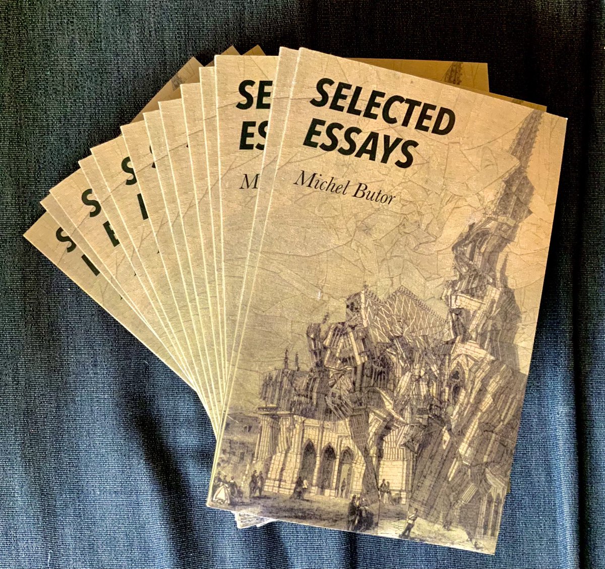 RichardNSkinner's tweet photo. They’ve arrived! #Butor @VanguardRead https://t.co/IswXYqe23n