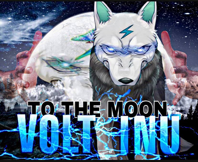crypto_sumsel's tweet photo. @LBank_Exchange #VOLTINU100X https://t.co/CbMXUQ3VZZ