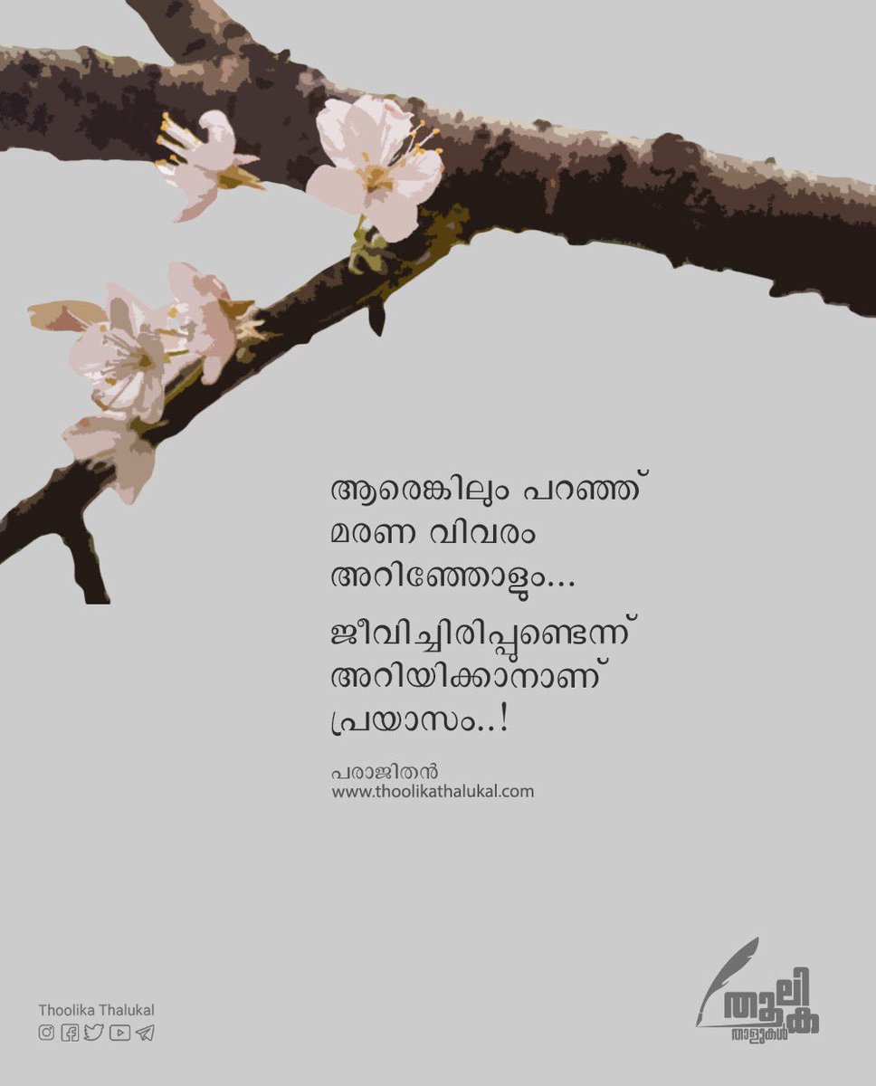 Thoolikathal's tweet photo. ജീവിച്ചിരിപ്പുണ്ടെന്ന് അറിയിക്കാനാണ് പ്രയാസം...

#thoolikathalukal #thoolika https://t.co/4ZUqWEuJCF
