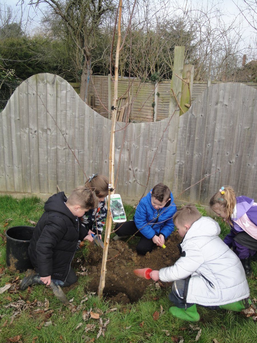 Wilburton C of E Primary tweet media