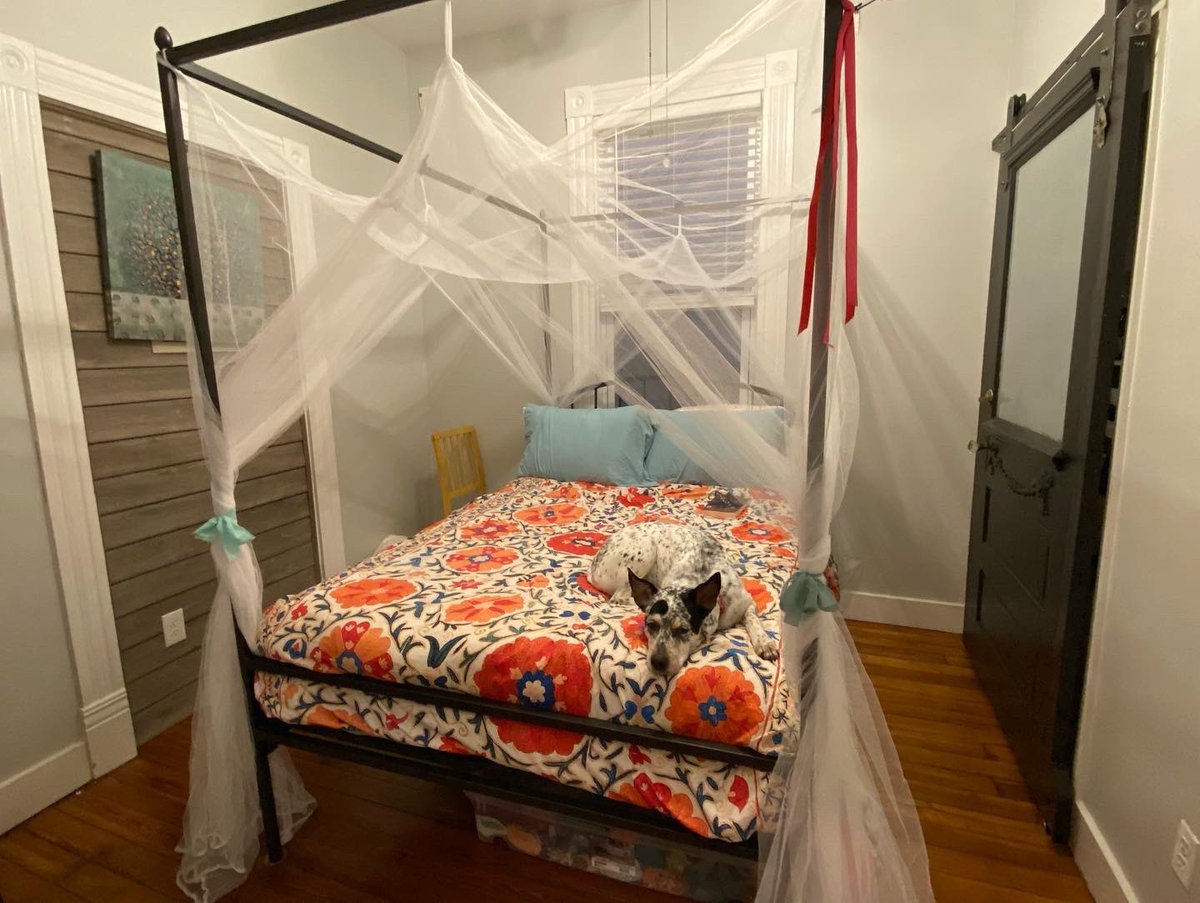 Becky Robison tweet media