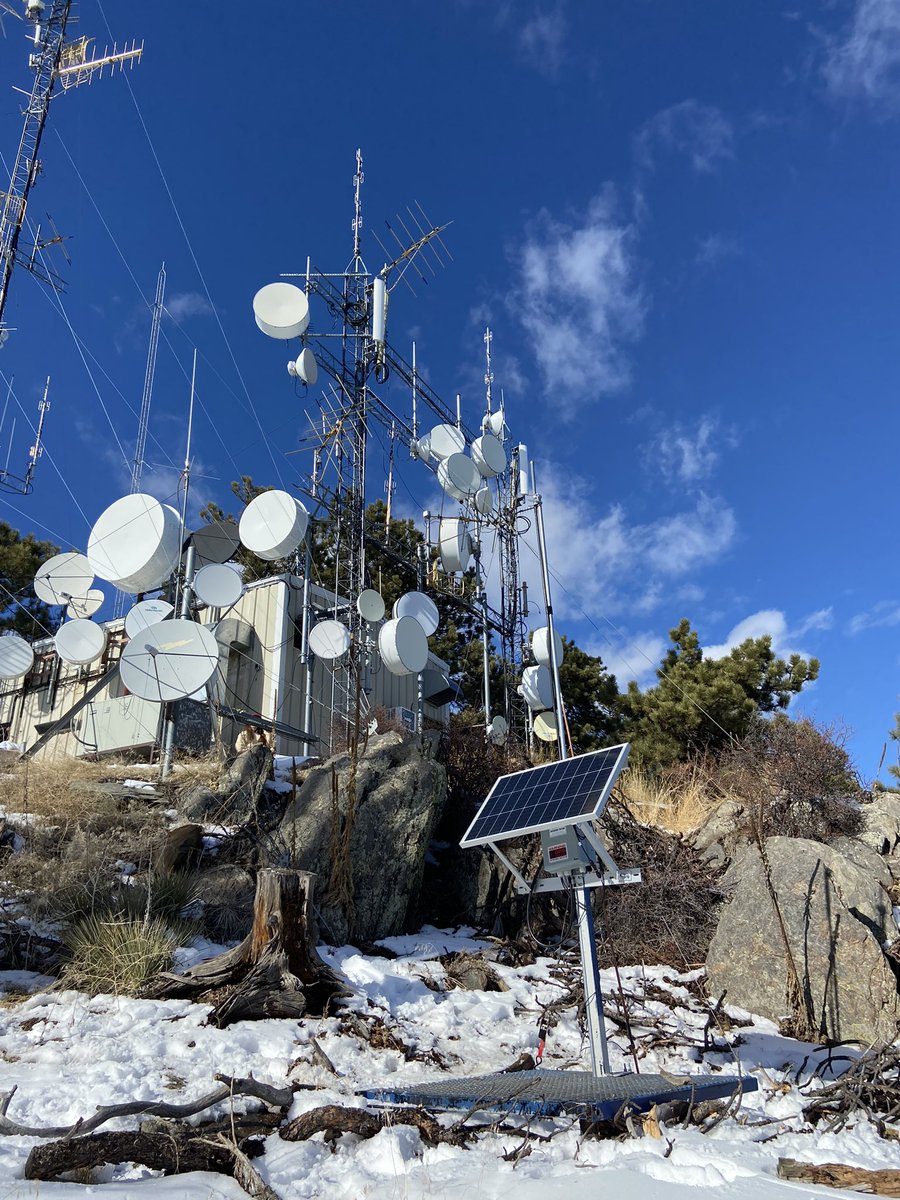 tanny.sol 🔻 tweet media