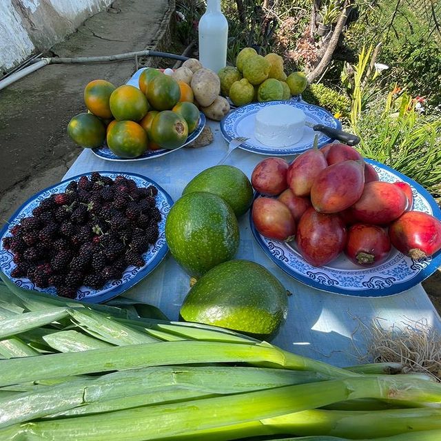 Agropatria tweet media