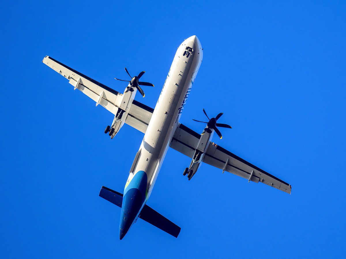 cstrobeck's tweet photo. Looking to photograph birds and this big one came over. #FlyEug #AlaskaAir https://t.co/rsEO5Dyp5s