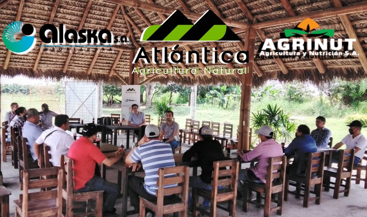 JulioAlaska's tweet photo. Visita a Ecuador
🇪🇦 #AtlánticaAgrícola
🇪🇨 #ImportadoraALASKA
🍌 Agrinut SA
Microcat BAL + Microcat TEN
Contacto: Ing. P. Garófalo +593996741289 https://t.co/pjywdy19s9