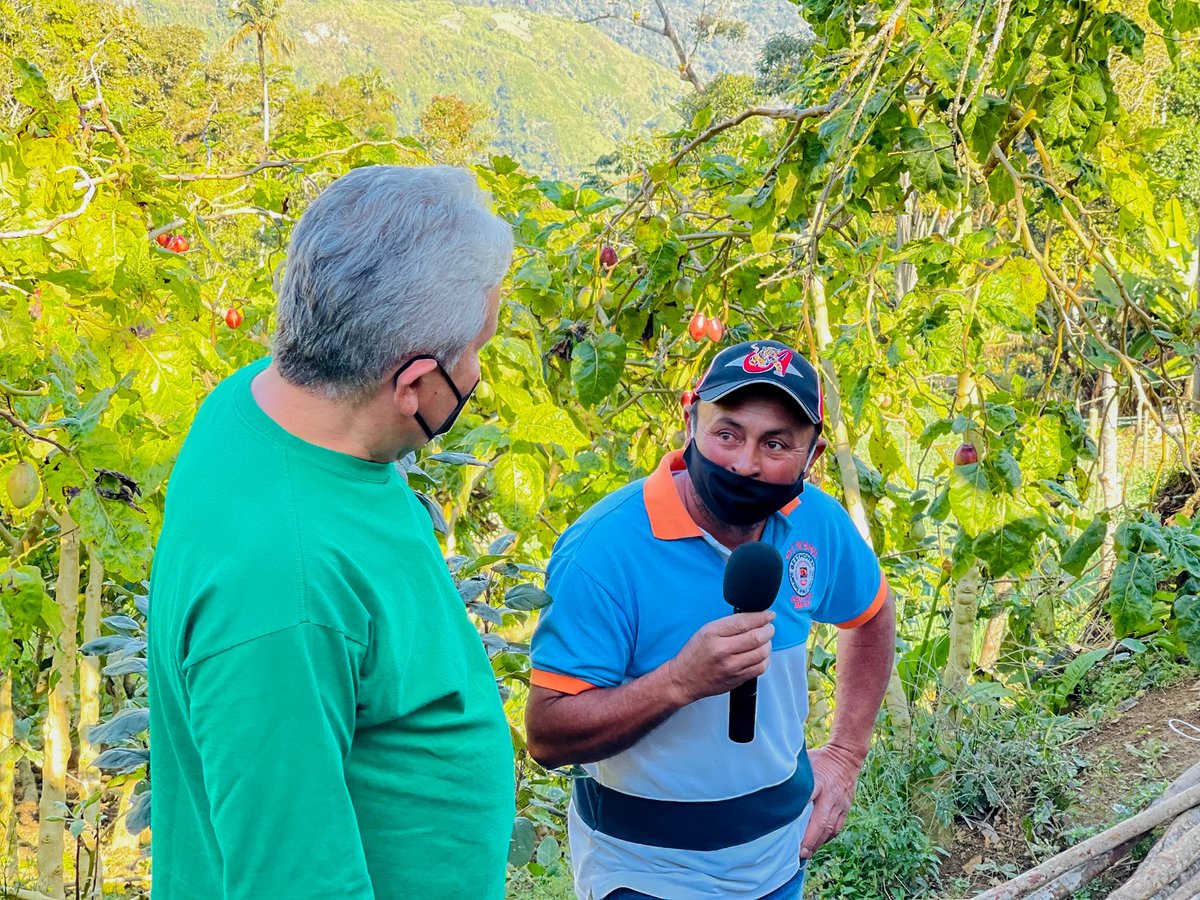 Agropatria tweet media