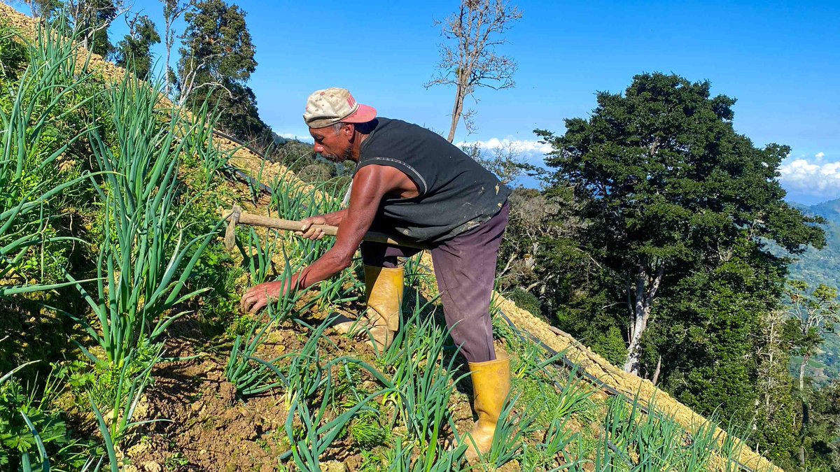Agropatria tweet media