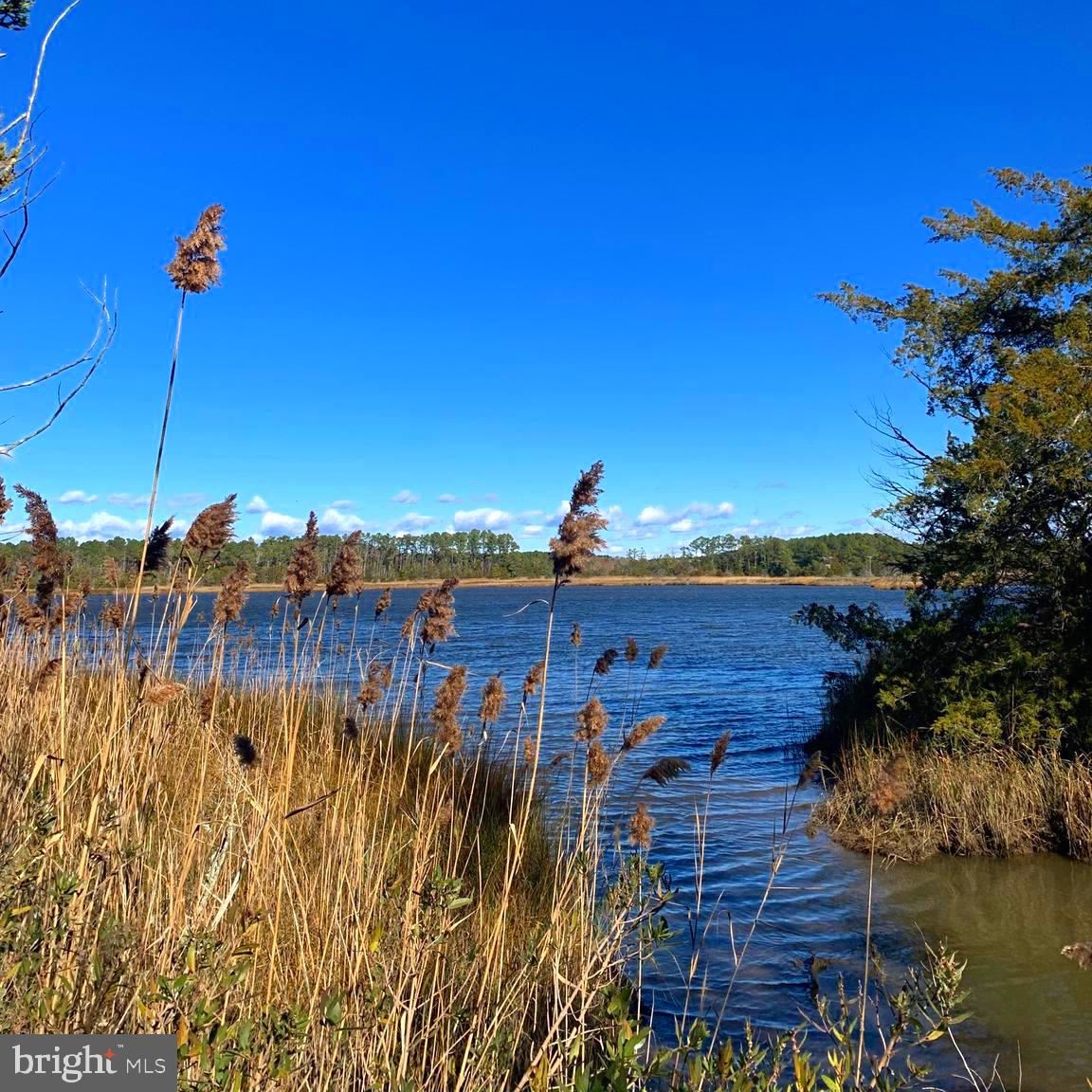 PRICE REDUCED! 💲⬇️

bit.ly/0LogCabinLn
📩 Message us here for info and showing: easternshoreproperties.net/contact
Or call 📲 Michael Moore at (410) 726-8829.

#forsale #vacantland #WestoverMD  #themooreteamofkellerwilliamsrealty