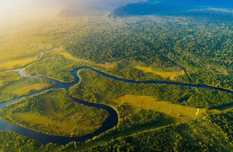 📢Last week @theGEF+@IUCN+@ConservationOrg announced the launch of the Inclusive Conservation Initiative (ICI), a🆕global initiative that will support enhanced #indigenous & community stewardship across 7.5M hectares of landscapes, seascapes & territories: bit.ly/3ol0Nh5