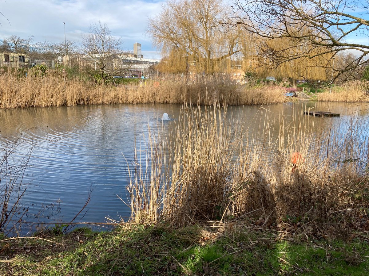 We believe in #research being part of our #teaching 
💧 students got to 'dive' into the #water quality monitoring and water treatment research happening on campus <a href="/UWEBristol/">UWE Bristol</a> <a href="/CRIB_UWE/">The Centre for Research in Biosciences</a> <a href="/UWE_Research/">Research from UWE Bristol</a> <a href="/UWE_Business/">Research, Business and Innovation</a> <a href="/Reynolds_UWE/">Professor Darren Reynolds</a> <a href="/gclayton90/">Dr Gillian Clayton</a> <a href="/sls88/">Stephanie Sargeant</a> 
#rivers #waterquality #monitoring